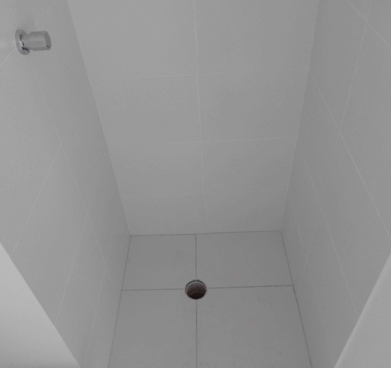 https://www.planoeplano.com.br/estatico/2024/11/29/11/11/2f54d14e867a81581df47b51bb4213386636ac86-thumbnail.jpg