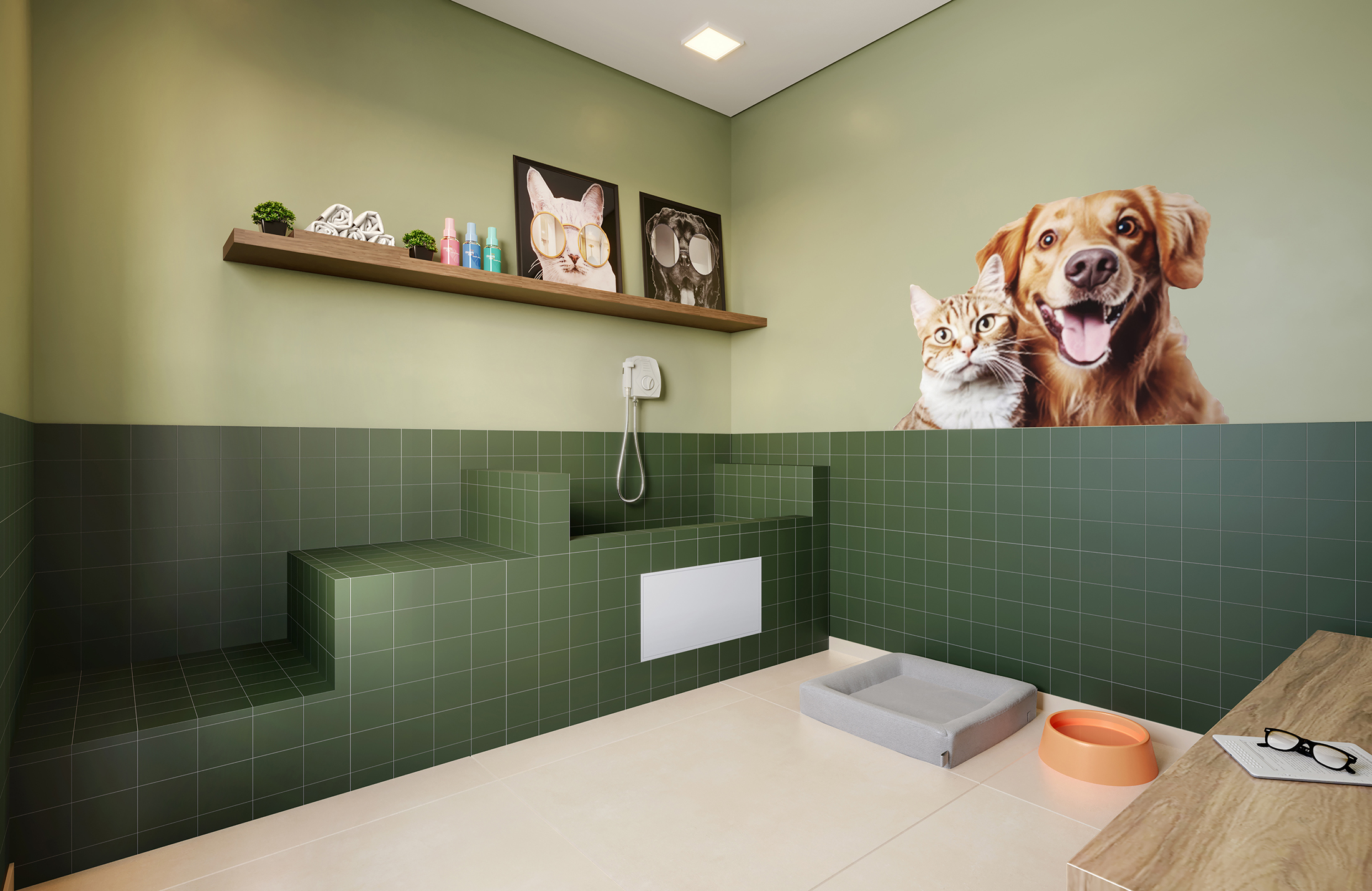 Pet Care - Perspectiva Ilustrada - Plano&amp;Vila Ema