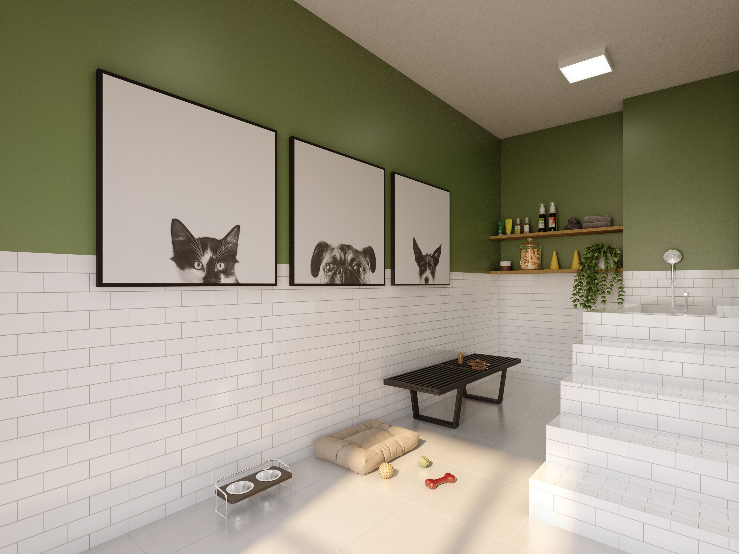 Pet Care - Perspectiva llustrada image number 15