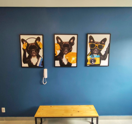 Petcare - Plano&Mais Itaquera