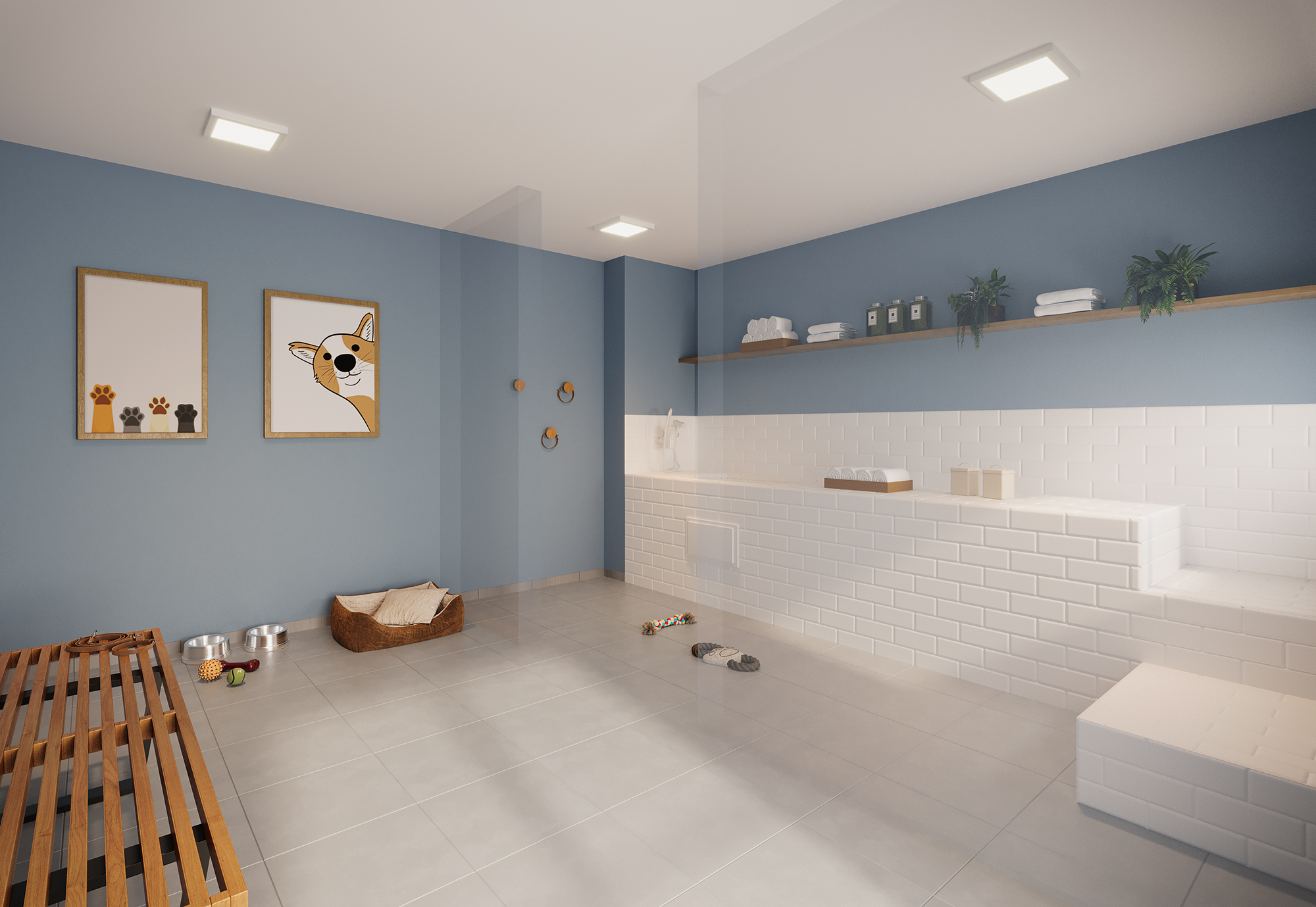 Pet care - Perspectiva Ilustrada - Plano&amp;Vista Santo Amaro