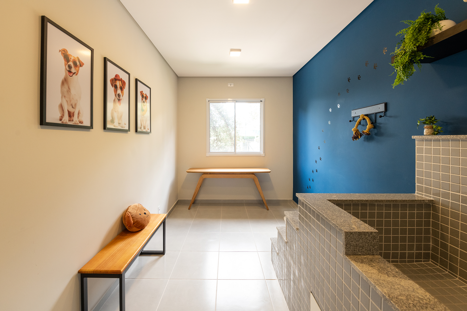 Pet Care - Plano&amp;Mais Morumbi